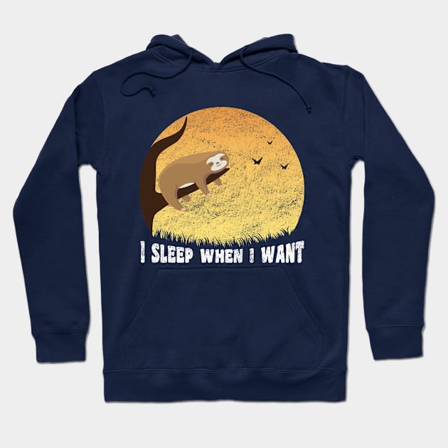 I Sleep When I Want, Funny Sloth Saying Hoodie by M Humor